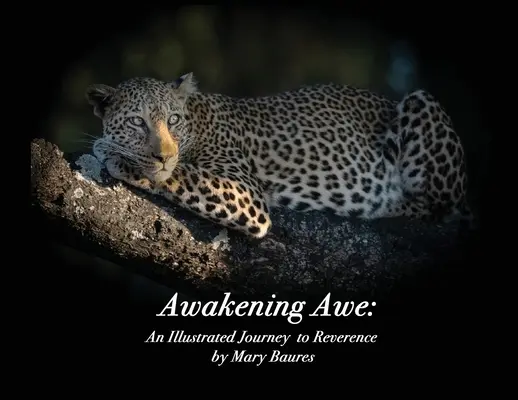 Despertar el asombro: Un viaje ilustrado a la reverencia - Awakening Awe: An Illustrated Journey to Reverence