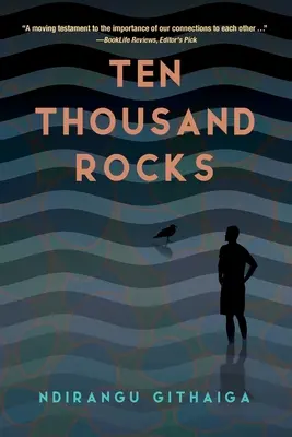 Diez mil rocas - Ten Thousand Rocks