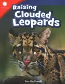 Criar leopardos nublados - Raising Clouded Leopards