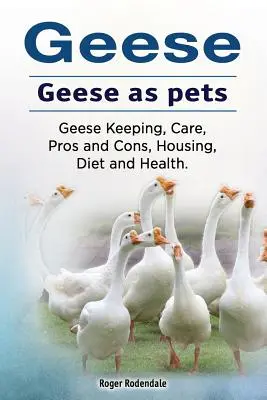 Gansos. Gansos como animales de compañía. Cría de gansos, cuidados, ventajas e inconvenientes, alojamiento, dieta y salud. - Geese. Geese as pets. Geese Keeping, Care, Pros and Cons, Housing, Diet and Health.