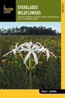 Flores silvestres de los Everglades: A Field Guide to Wildflowers of the Historic Everglades, Including Big Cypress, Corkscrew, and Fakahatchee Swamps (Guía de campo de las flores silvestres de los Everglades históricos, incluidos los pantanos Big Cypress, Corkscrew y Fakahatchee) - Everglades Wildflowers: A Field Guide to Wildflowers of the Historic Everglades, Including Big Cypress, Corkscrew, and Fakahatchee Swamps