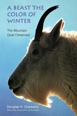 Una bestia del color del invierno: La cabra montesa observada - A Beast the Color of Winter: The Mountain Goat Observed