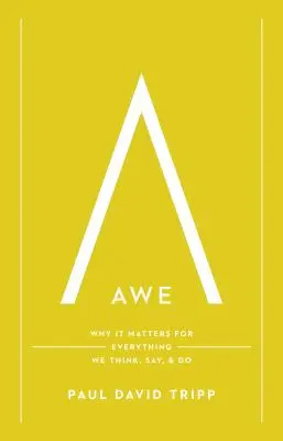 Asombro: Por qué es importante para todo lo que pensamos, decimos y hacemos - Awe: Why It Matters for Everything We Think, Say, and Do