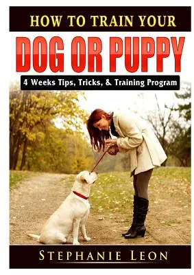 Cómo adiestrar a tu perro o cachorro: Consejos, trucos y programa de adiestramiento para 4 semanas - How to Train Your Dog or Puppy: 4 Weeks Tips, Tricks, & Training Program