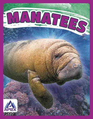 Manatíes - Manatees