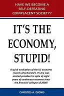 Es la economía, estúpido - It's the Economy, Stupid