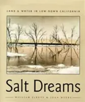 Sueños de sal: Tierra y agua en la Baja California - Salt Dreams: Land and Water in Low-Down California