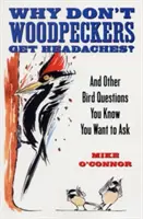 ¿Por qué no les duele la cabeza a los pájaros carpinteros? Y otras preguntas sobre pájaros que sabes que quieres hacer - Why Don't Woodpeckers Get Headaches?: And Other Bird Questions You Know You Want to Ask