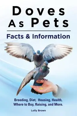 Las palomas como mascotas: cría, dieta, alojamiento, salud, dónde comprar, cría y mucho más. Datos e información - Doves As Pets: Breeding, Diet, Housing, Health, Where to Buy, Raising, and More. Facts & Information