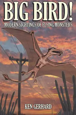 Big Bird - Avistamientos modernos de monstruos voladores - Big Bird! - Modern Sightings of Flying Monsters