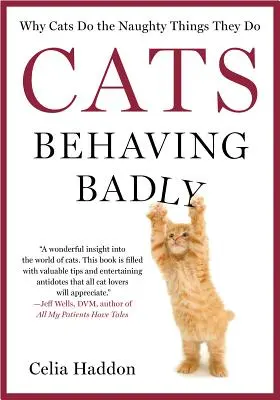 Los gatos se portan mal - Cats Behaving Badly