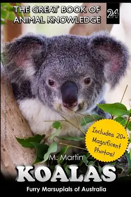 Koalas: Marsupiales peludos de Australia - Koalas: Furry Marsupials of Australia