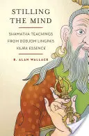 Calmar la Mente: Enseñanzas Shamatha de la Esencia Vajra de Dudjom Lingpa - Stilling the Mind: Shamatha Teachings from Dudjom Lingpa's Vajra Essence