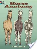 Anatomía del Caballo - Horse Anatomy