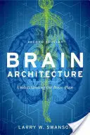 Arquitectura cerebral - Brain Architecture