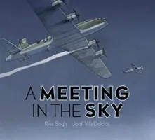 Un encuentro en el cielo - A Meeting in the Sky