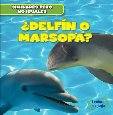 ¿Delfín o Marsopa? (¿Delfín o Marsopa?) - Delfin O Marsopa? (Dolphin or Porpoise?)