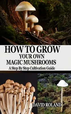 Cómo cultivar tus propias setas mágicas: Guía de cultivo paso a paso - How to Grow Your Own Magic Mushrooms: A Step By Step Cultivation Guide