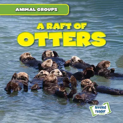 Una balsa de nutrias - A Raft of Otters