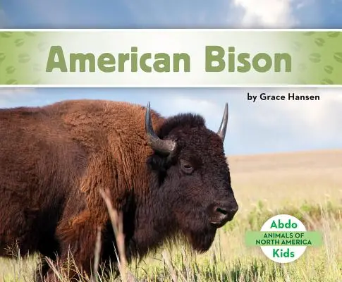 Bisonte americano - American Bison