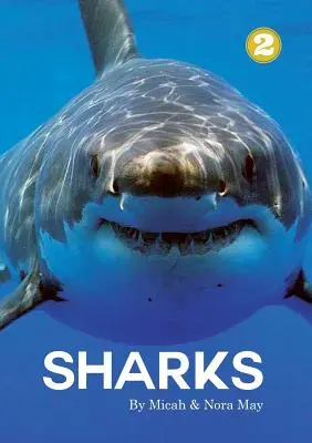 Tiburones - Sharks