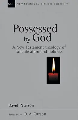 Poseídos por Dios: Una teología neotestamentaria de la santificación y la santidad - Possessed by God: A New Testament Theology of Sanctification and Holiness