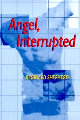 Ángel interrumpido - Angel Interrupted