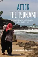 Después del tsunami: Narrativas de catástrofes y reconstrucción de la vida cotidiana en Aceh - After the Tsunami: Disaster Narratives and the Remaking of Everyday Life in Aceh