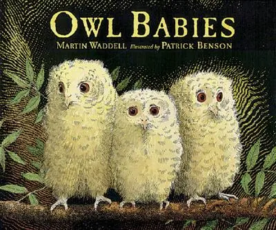 Los bebés búho - Owl Babies