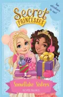 Princesas Secretas: Hermanas Copo de Nieve - ¡Dos aventuras en una! Especial - Secret Princesses: Snowflake Sisters - Two adventures in one! Special