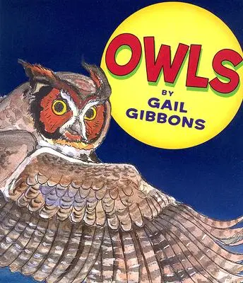 Búhos - Owls