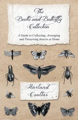 La colección de escarabajos y mariposas - Guía para coleccionar, ordenar y conservar insectos en casa - The Beetle and Butterfly Collection - A Guide to Collecting, Arranging and Preserving Insects at Home