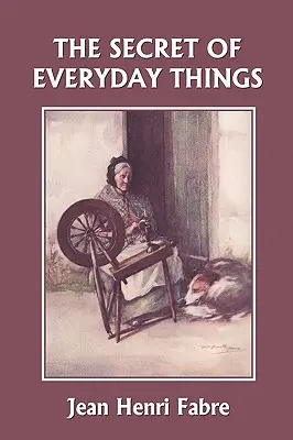 El secreto de las cosas cotidianas (Clásicos de ayer) - The Secret of Everyday Things (Yesterday's Classics)