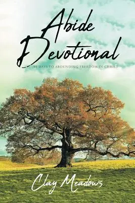 Devocional Permanecer: 40 días de abundante libertad en Cristo - Abide Devotional: 40 Days to Abounding Freedom in Christ