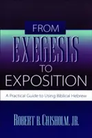 De la exégesis a la exposición: Guía práctica para el uso del hebreo bíblico - From Exegesis to Exposition: A Practical Guide to Using Biblical Hebrew