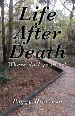 La vida después de la muerte: ¿Adónde voy ahora? - Life After Death: Where do I go now