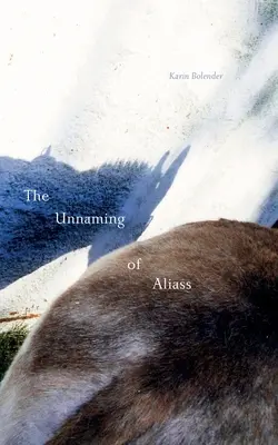 El anonimato de Aliass - The Unnaming of Aliass