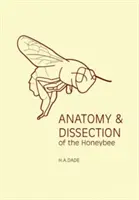 Anatomía y disección de la abeja melífera - Anatomy and Dissection of the Honeybee