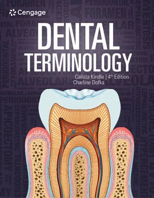 Terminología dental - Dental Terminology