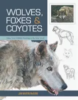 Lobos, zorros y coyotes (Conceptos básicos de pintura de animales salvajes) - Wolves, Foxes & Coyotes (Wildlife Painting Basics)