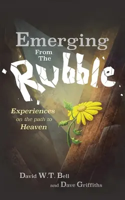 Emergiendo de los escombros: Las experiencias de una comunidad en el camino hacia el cielo - Emerging from the Rubble: The Experiences of a Community on the Path to Heaven