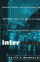 Interzones: Black/White Sex Districts in Chicago and New York in the Early Twentieth Century (Interzonas: Barrios sexuales de blancos y negros en Chicago y Nueva York a principios del siglo XX) - Interzones: Black/White Sex Districts in Chicago and New York in the Early Twentieth Century