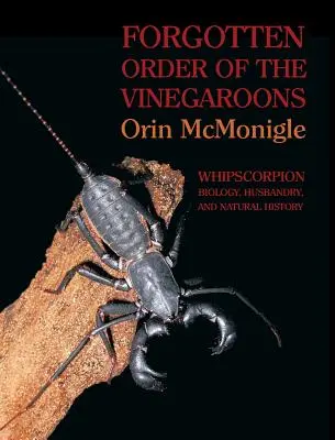 Orden Olvidado de los Vinegaroons: Biología, cría e historia natural del escorpión látigo - Forgotten Order of the Vinegaroons: Whipscorpion Biology, Husbandry, and Natural History