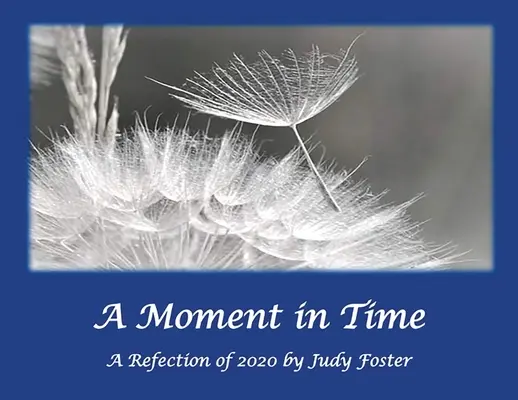 Un momento en el tiempo: un reflejo de 2020 - A Moment in Time: A Reflection of 2020