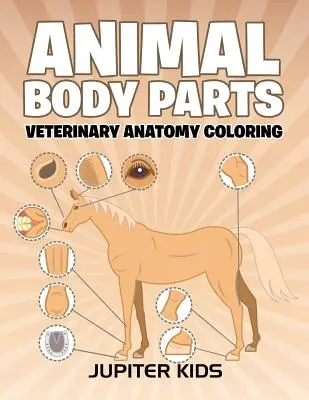 Partes del cuerpo de los animales: Anatomía veterinaria para colorear - Animal Body Parts: Veterinary Anatomy Coloring