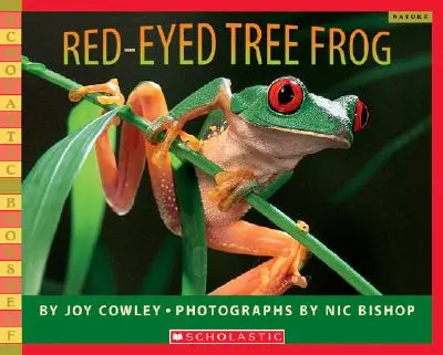 La rana arborícola de ojos rojos - Red-Eyed Tree Frog