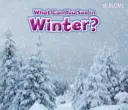 ¿Qué se puede ver en invierno? - What Can You See In Winter?