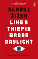 Como un ladrón a plena luz del día - El poder en la era de la posthumanidad - Like A Thief In Broad Daylight - Power in the Era of Post-Humanity