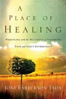 Un lugar de curación: Luchando con los misterios del sufrimiento, el dolor y la soberanía de Dios - A Place of Healing: Wrestling with the Mysteries of Suffering, Pain, and God's Sovereignty