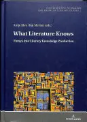 Lo que sabe la literatura: incursiones en la producción de conocimiento literario - What Literature Knows: Forays Into Literary Knowledge Production